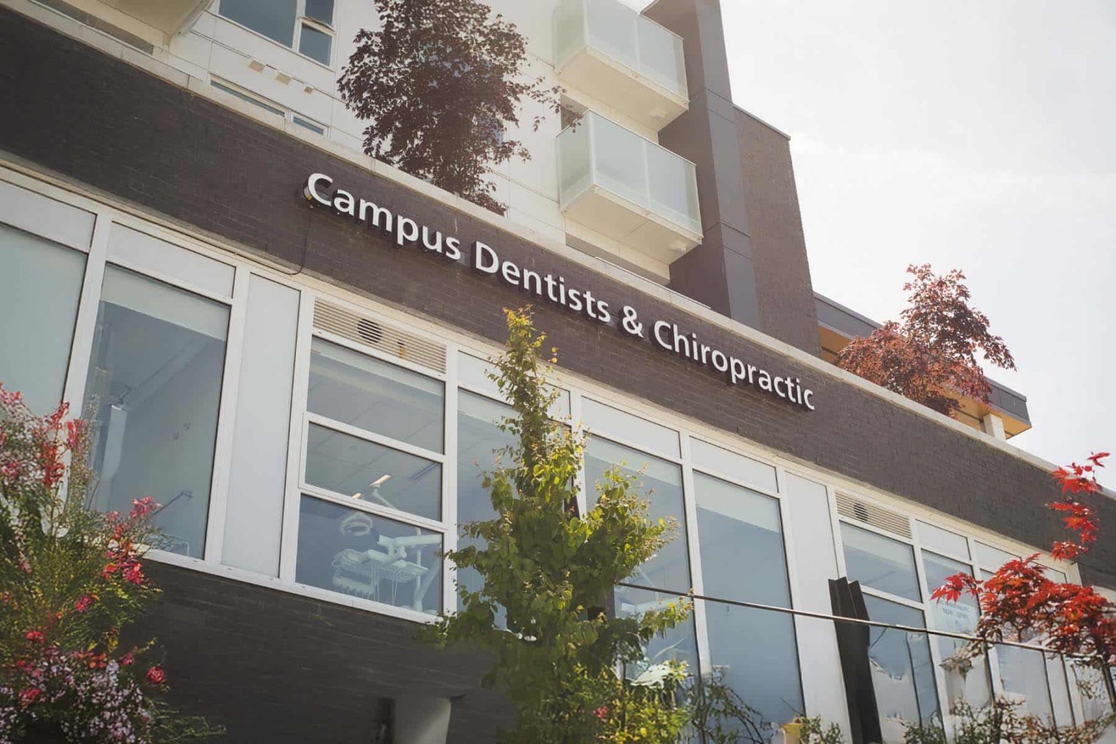 Campus Dentists